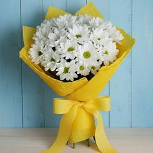Букет цветов из:  Хризантемы #REPLACE_PRED# Добруни