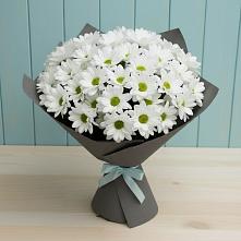 Букет цветов из:  Хризантемы #REPLACE_PRED# Добруни