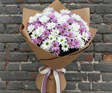 Букет цветов из:  Хризантемы в Добруни