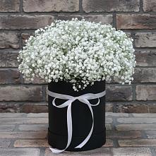 Цветочная композиция из Гипсофила в шляпной коробке #REPLACE_PRED# Добруни