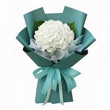 Букет цветов из:  Гортензия #REPLACE_PRED# Добруни